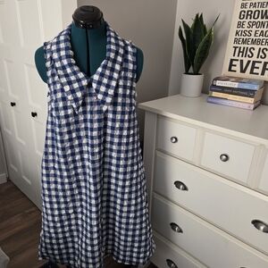 Wray Brooks Blue and White Checkered Sleeveless Dress